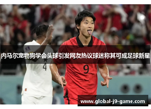 内马尔宠物狗学会头球引发网友热议球迷称其可成足球新星 内马尔宠物狗学会头球引发网友热议球迷称其可成足球新星