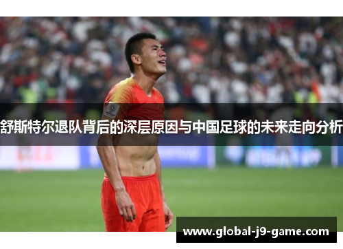 舒斯特尔退队背后的深层原因与中国足球的未来走向分析