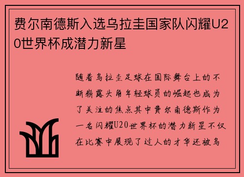 费尔南德斯入选乌拉圭国家队闪耀U20世界杯成潜力新星
