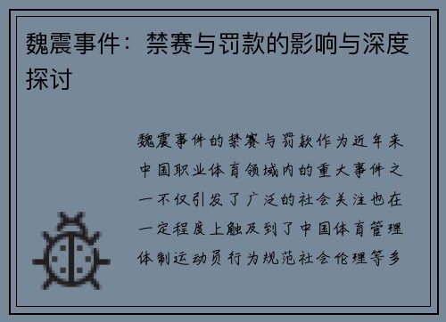 魏震事件：禁赛与罚款的影响与深度探讨